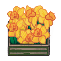 File:Daffodil.png