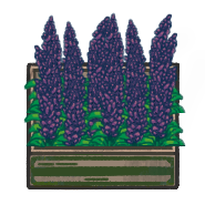 File:Lavendar.png