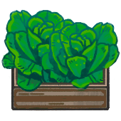 File:Lettuce.png