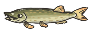 Pike.png