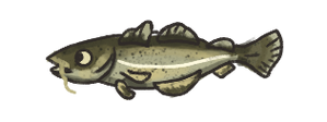Cod.png