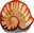 Sea Shell