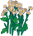 Chamomile
