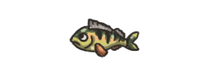 Perch.png