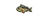 Perch