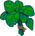 Basil
