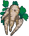 Parsnips