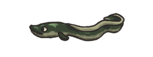 River eel.png