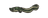River Eel