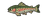 Trout