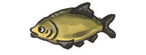 Bream.png