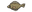 Flounder