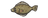 Flounder