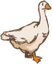 Goose
