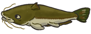 Catfish.png