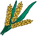 Wheat