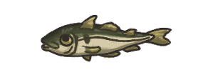 Haddock.png