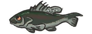 Bass.png