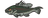 Bass