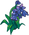 Bluebell