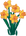 Daffodil