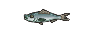 Herring.png
